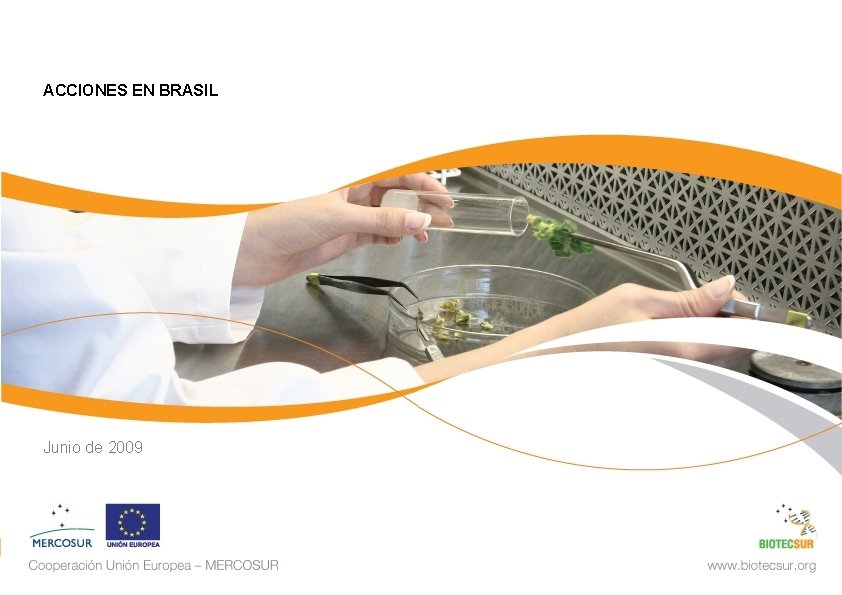 ACCIONES EN BRASIL Junio de 2009 
