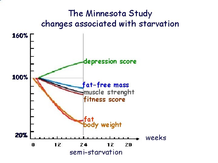The Minnesota Study changes associated with starvation 160% depression score 100% fat-free mass muscle