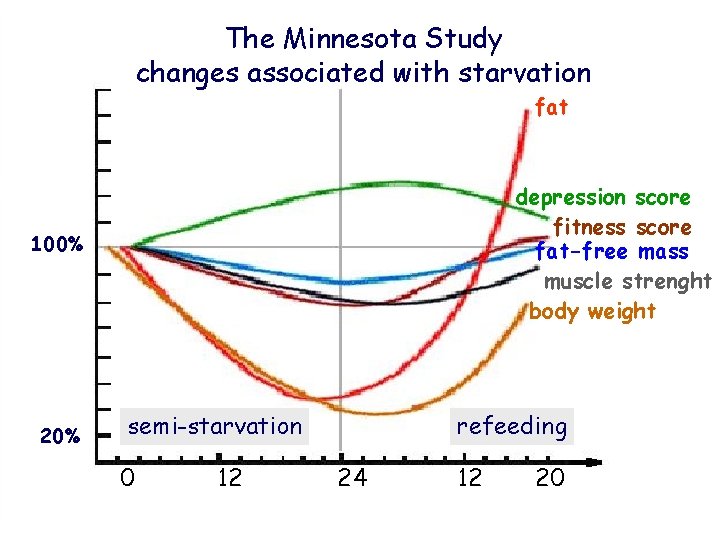 The Minnesota Study changes associated with starvation 160% fat depression score fitness score fat-free