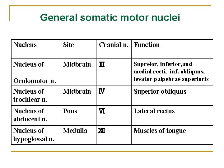 General somatic motor nuclei Nucleus Site Cranial n. Function Nucleus of Midbrain Ⅲ Supreior,