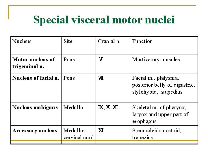 Special visceral motor nuclei Nucleus Site Cranial n. Function Motor nucleus of trigeminal n.