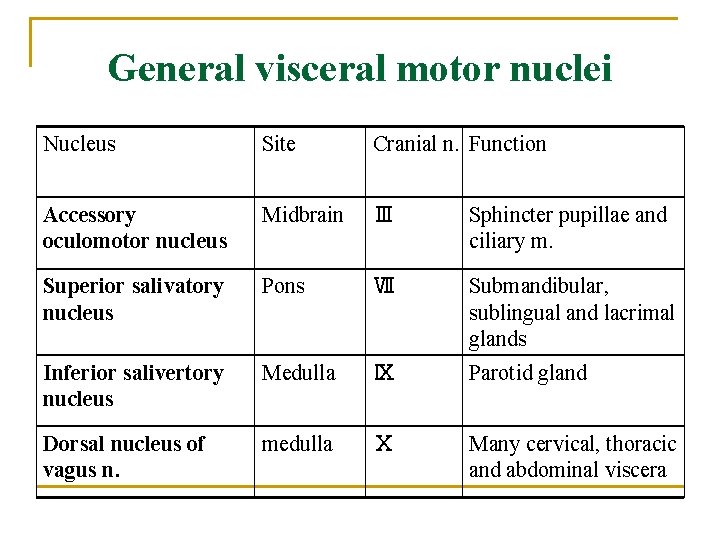 General visceral motor nuclei Nucleus Site Cranial n. Function Accessory oculomotor nucleus Midbrain Ⅲ