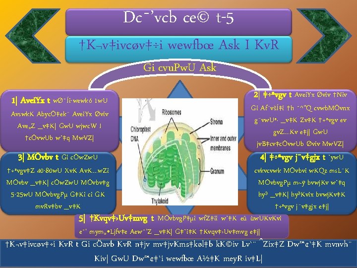 Dc¯’vcb ce© t-5 †K¬v‡ivcøv‡÷i wewfbœ Ask I Kv. R Gi cvu. Pw. U Ask