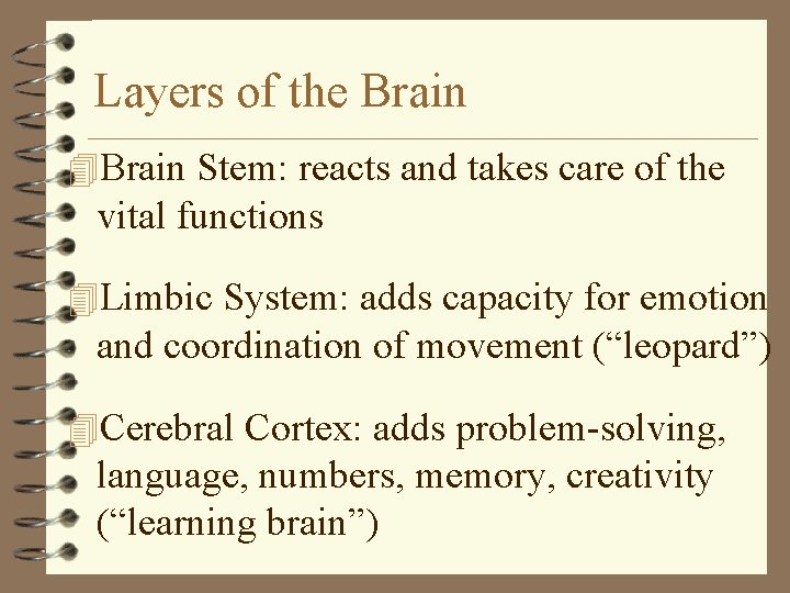 Layers of the Brain 4 Brain Stem: reacts and takes care of the vital