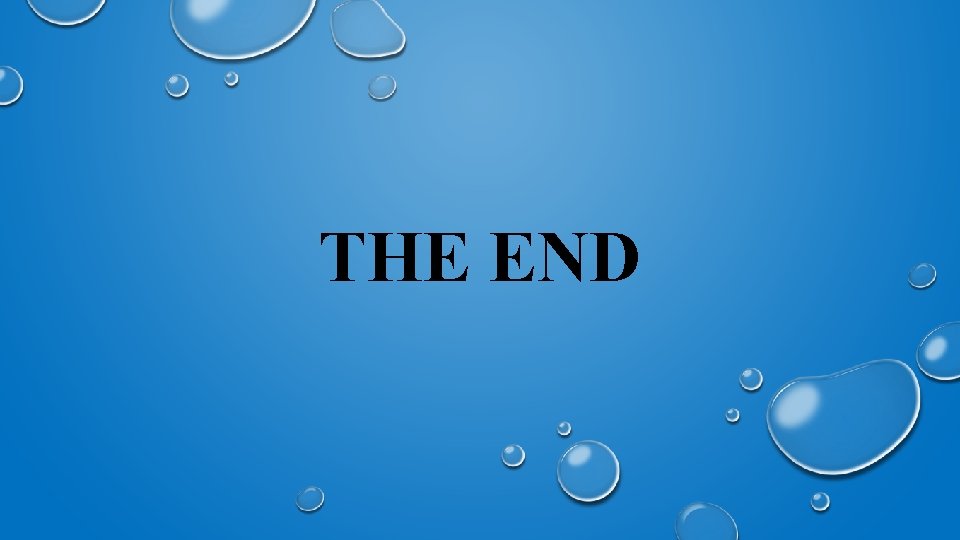 THE END 