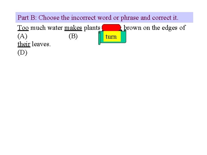 Part B: Choose the incorrect word or phrase and correct it. Too much water