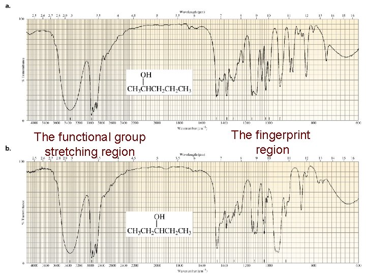 The functional group stretching region The fingerprint region 