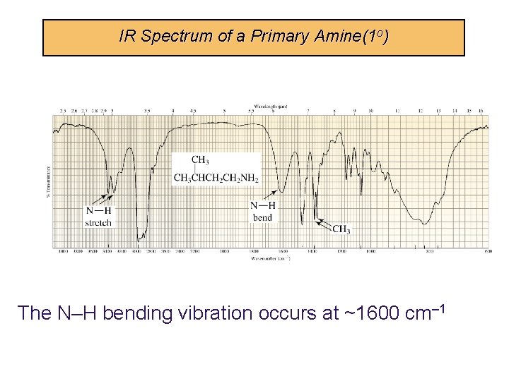 IR Spectrum of a Primary Amine(1 o) The N–H bending vibration occurs at ~1600