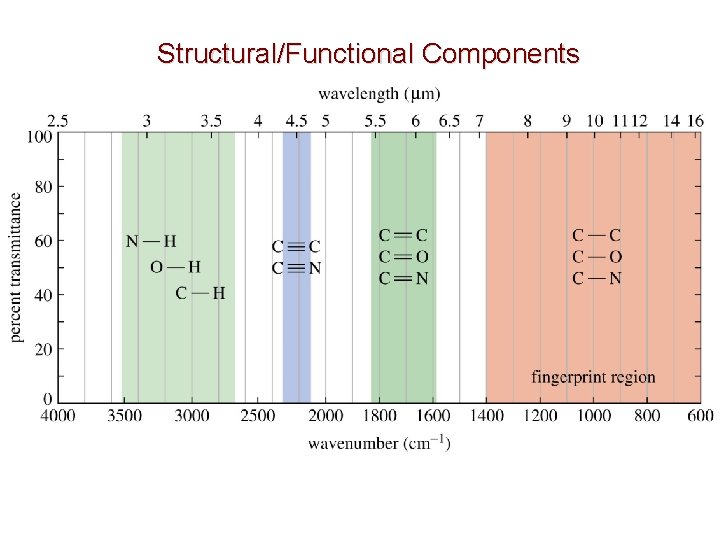 Structural/Functional Components 
