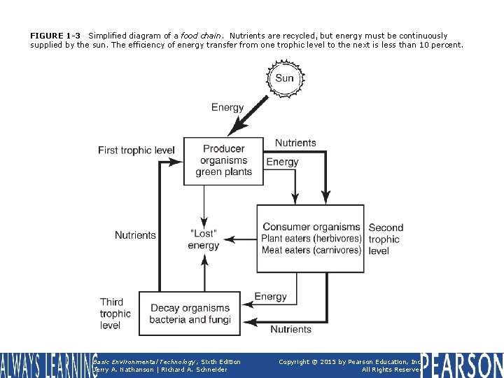 FIGURE 1 -3 Simplified diagram of a food chain. Nutrients are recycled, but energy