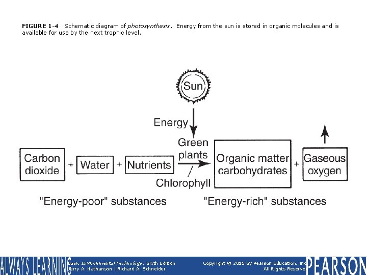 FIGURE 1 -4 Schematic diagram of photosynthesis. Energy from the sun is stored in