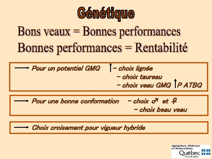 Pour un potentiel GMQ - choix lignée - choix taureau - choix veau GMQ