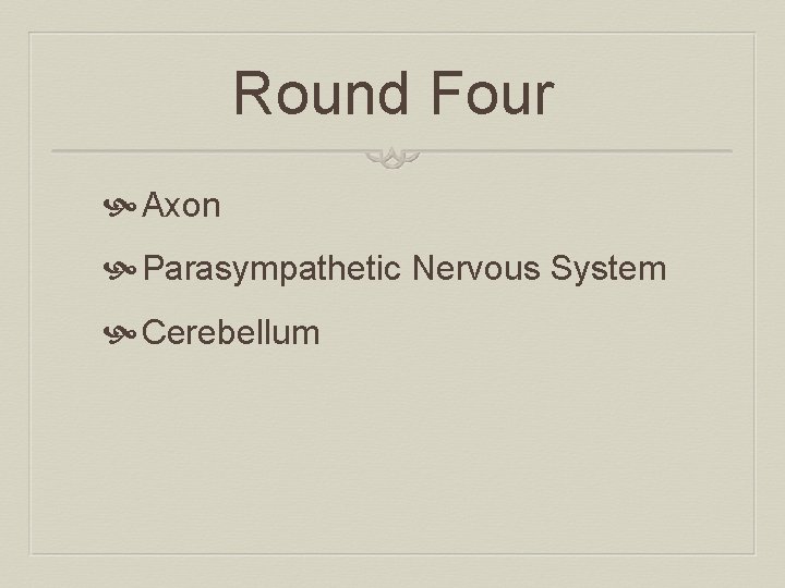 Round Four Axon Parasympathetic Nervous System Cerebellum 