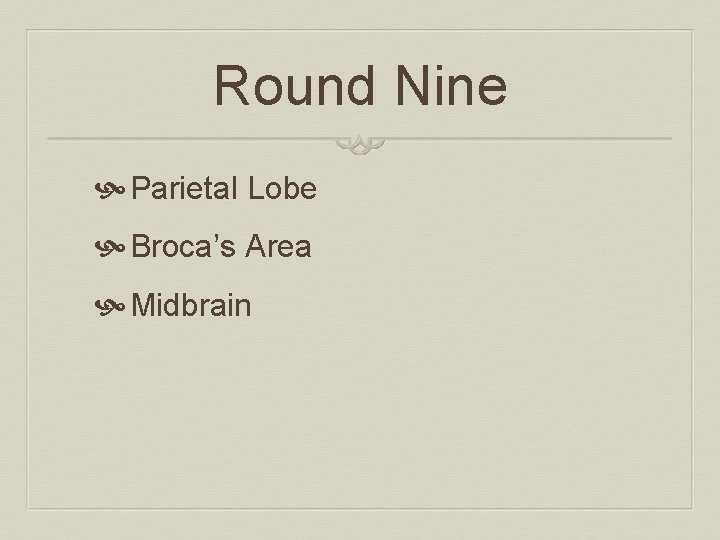 Round Nine Parietal Lobe Broca’s Area Midbrain 