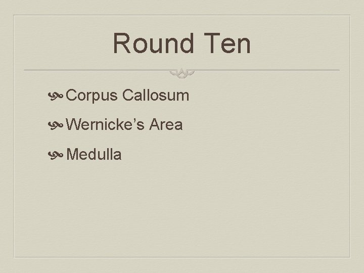 Round Ten Corpus Callosum Wernicke’s Area Medulla 