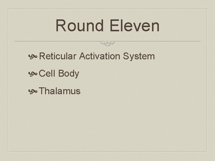 Round Eleven Reticular Activation System Cell Body Thalamus 