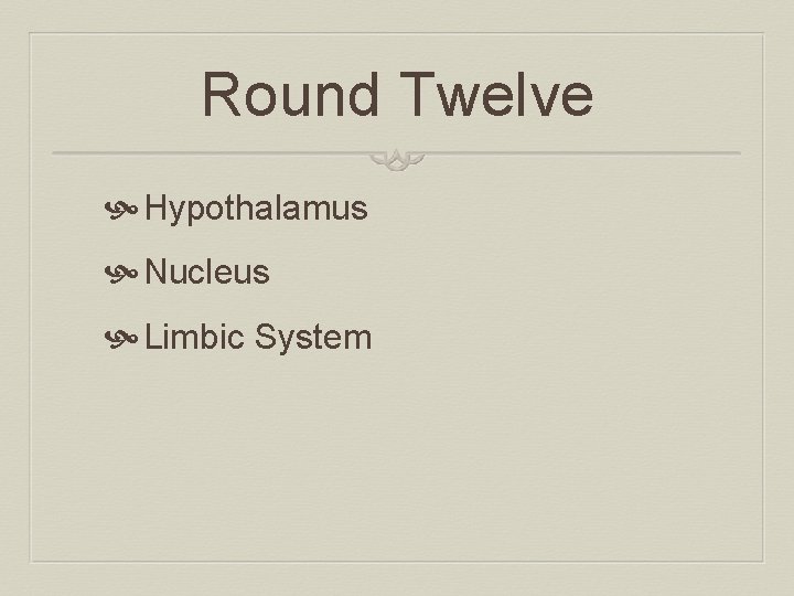Round Twelve Hypothalamus Nucleus Limbic System 