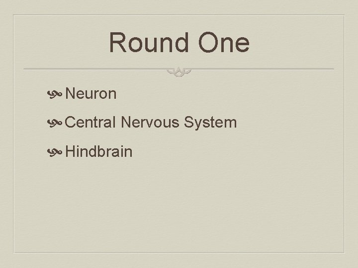 Round One Neuron Central Nervous System Hindbrain 