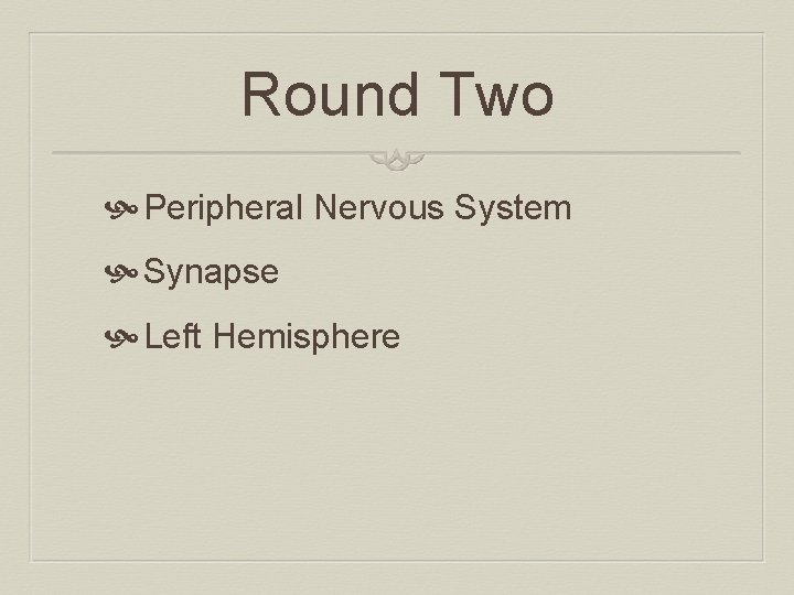 Round Two Peripheral Nervous System Synapse Left Hemisphere 
