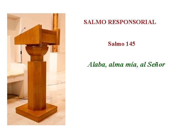 SALMO RESPONSORIAL Salmo 145 Alaba, alma mía, al Señor 