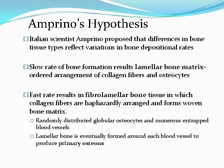 Amprino’s Hypothesis �Italian scientist Amprino proposed that differences in bone tissue types reflect variations