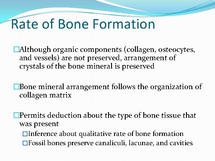 Rate of Bone Formation �Although organic components (collagen, osteocytes, and vessels) are not preserved,