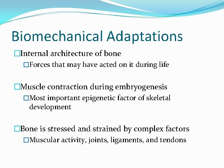 Biomechanical Adaptations �Internal architecture of bone �Forces that may have acted on it during