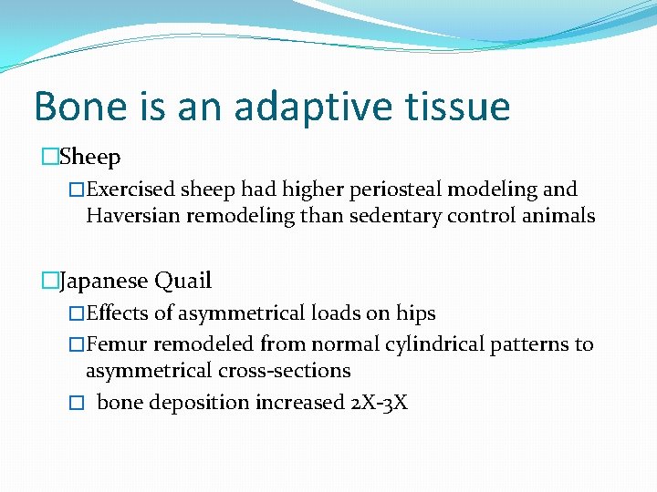 Bone is an adaptive tissue �Sheep �Exercised sheep had higher periosteal modeling and Haversian