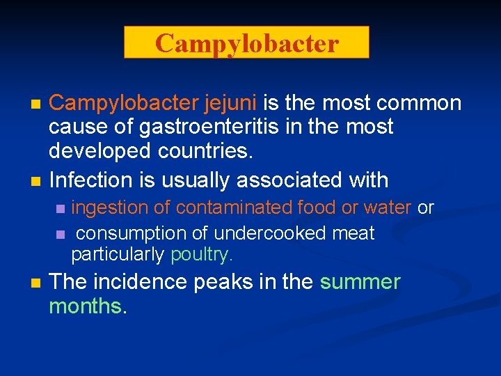 Campylobacter n n Campylobacter jejuni is the most common cause of gastroenteritis in the