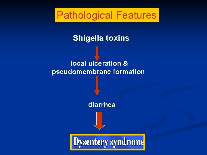 Pathological Features Shigella toxins local ulceration & pseudomembrane formation diarrhea 