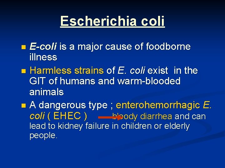 Escherichia coli E-coli is a major cause of foodborne illness n Harmless strains of