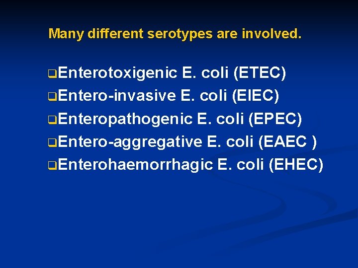 Many different serotypes are involved. q. Enterotoxigenic E. coli (ETEC) q. Entero-invasive E. coli