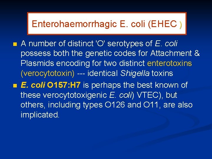 Enterohaemorrhagic E. coli (EHEC ) n n A number of distinct 'O' serotypes of