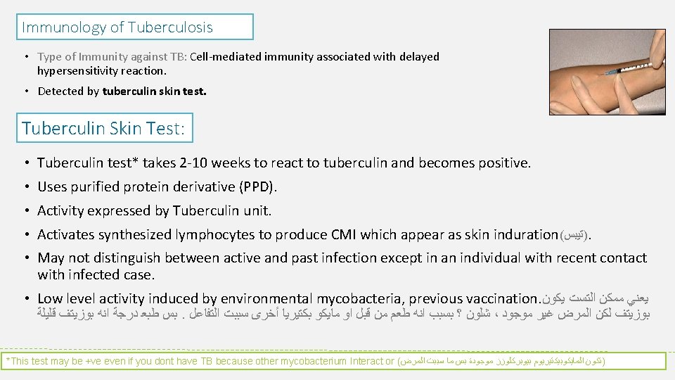 Immunology of Tuberculosis • Type of Immunity against TB: Cell mediated immunity associated with