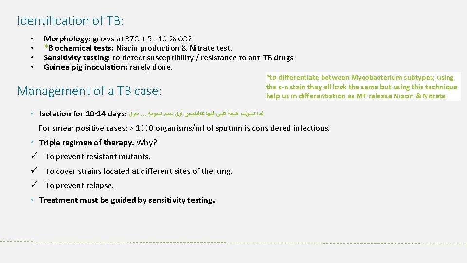 Identification of TB: • • Morphology: grows at 37 C + 5 10 %