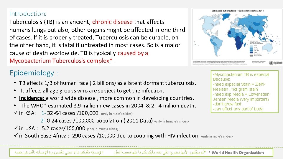 Introduction: Tuberculosis (TB) is an ancient, chronic disease that affects humans lungs but also,