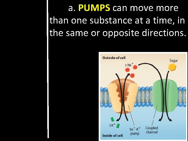 a. PUMPS can move more than one substance at a time, in the same