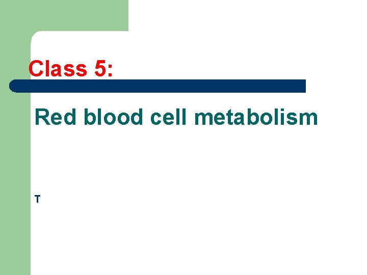 Class 5: Red blood cell metabolism T 