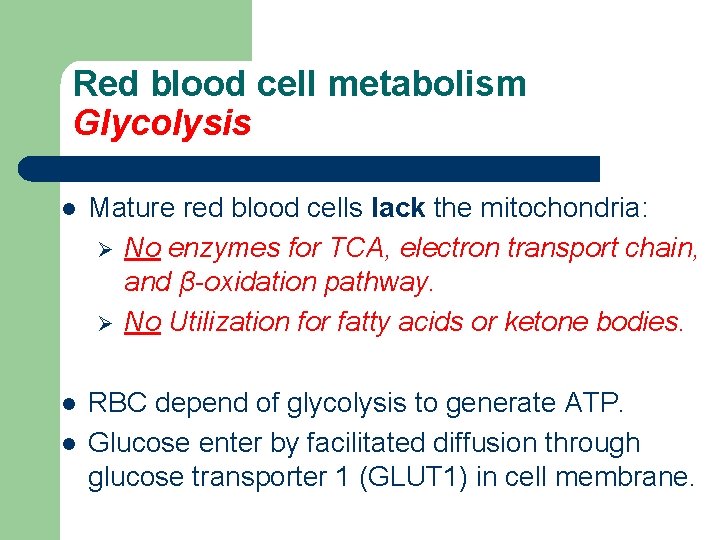 Red blood cell metabolism Glycolysis l Mature red blood cells lack the mitochondria: Ø