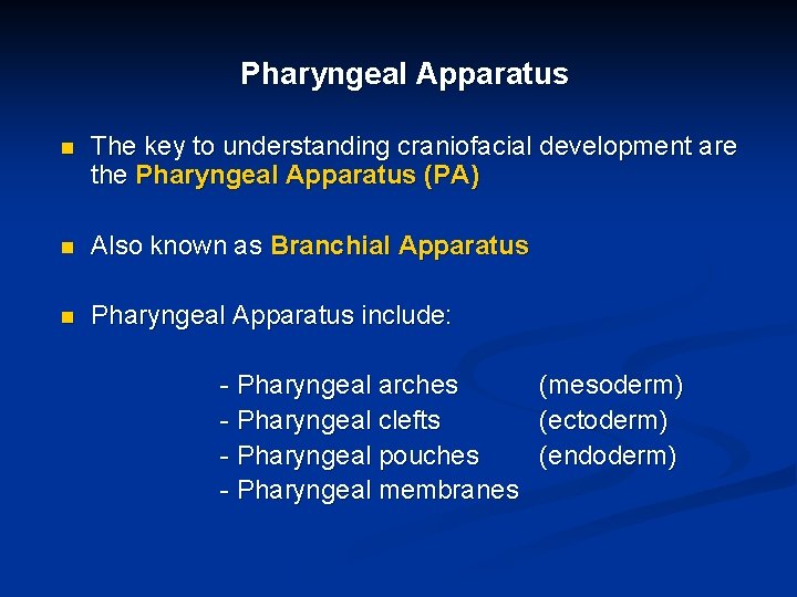 Pharyngeal Apparatus n The key to understanding craniofacial development are the Pharyngeal Apparatus (PA)