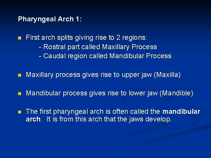 Pharyngeal Arch 1: n First arch splits giving rise to 2 regions: - Rostral