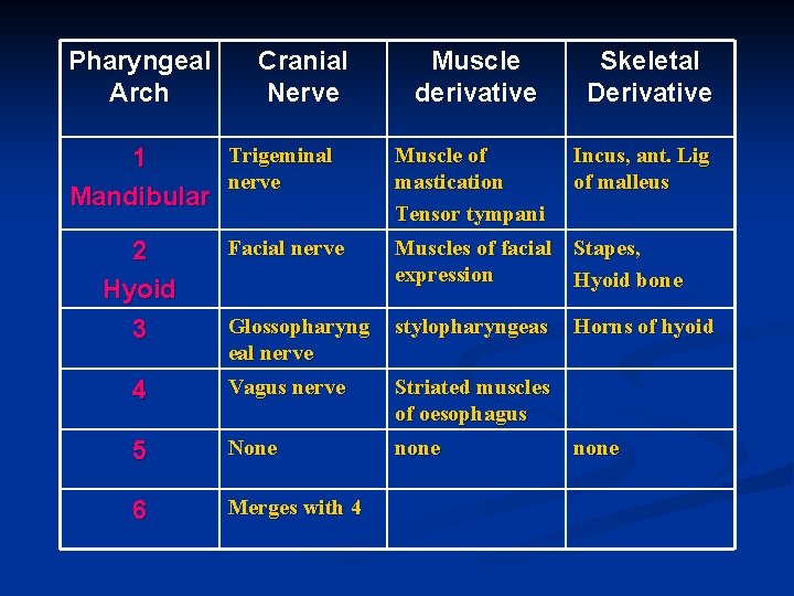 Pharyngeal Arch Cranial Nerve Muscle derivative Skeletal Derivative 1 Mandibular Trigeminal nerve Muscle of