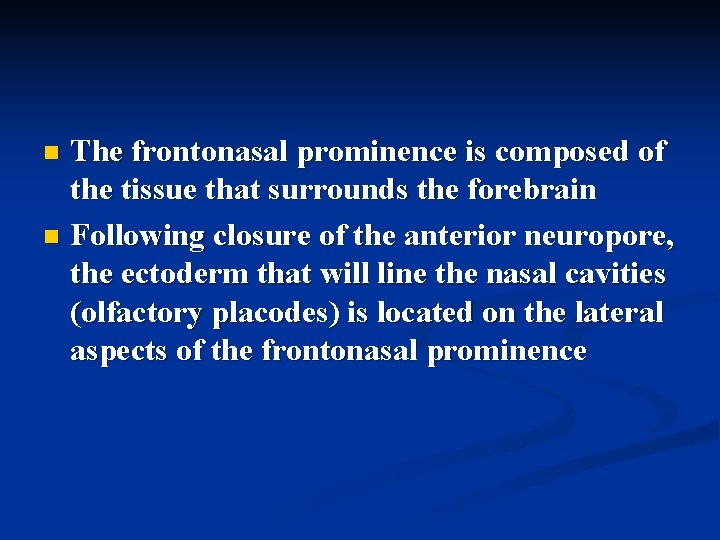 The frontonasal prominence is composed of the tissue that surrounds the forebrain n Following