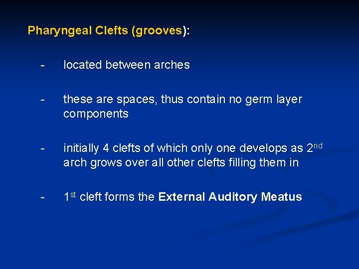 Pharyngeal Clefts (grooves): - located between arches - these are spaces, thus contain no