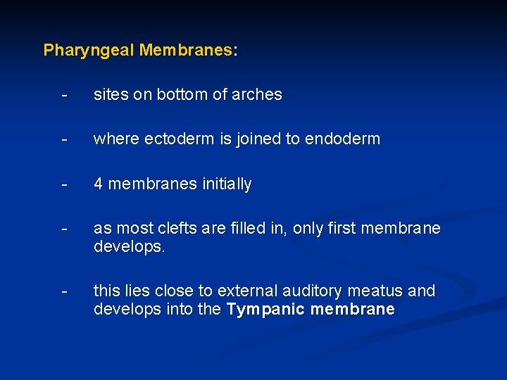 Pharyngeal Membranes: - sites on bottom of arches - where ectoderm is joined to