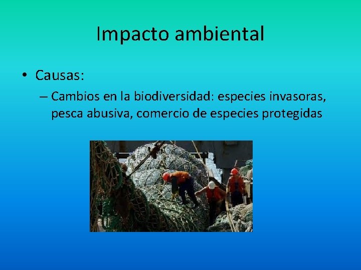 Impacto ambiental • Causas: – Cambios en la biodiversidad: especies invasoras, pesca abusiva, comercio