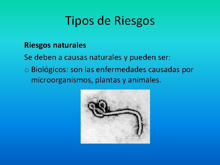 Tipos de Riesgos naturales Se deben a causas naturales y pueden ser: o Biológicos: