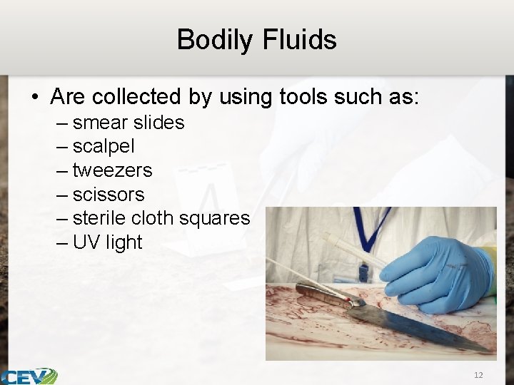 Bodily Fluids • Are collected by using tools such as: – smear slides –