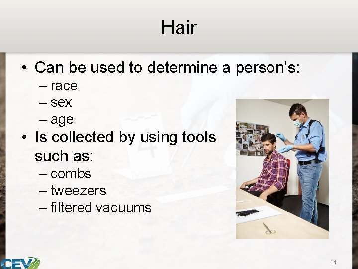 Hair • Can be used to determine a person’s: – race – sex –