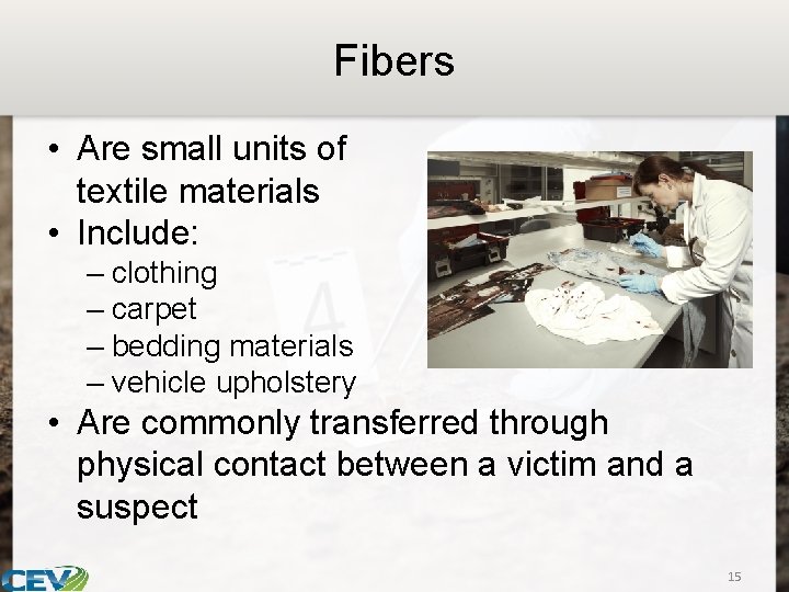 Fibers • Are small units of textile materials • Include: – clothing – carpet